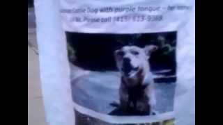 We Just Out Here: Case of the missing Cell Phone