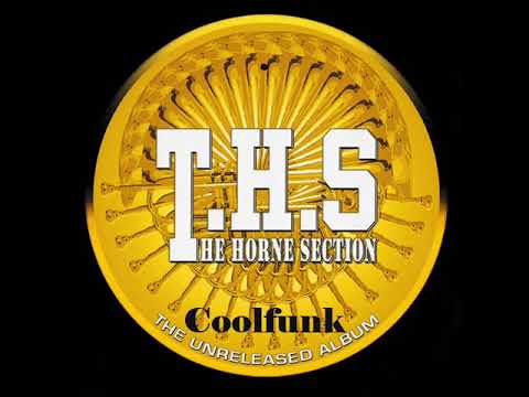 T. H. S.  (The Horne Section)  - Exotic Lady (Disco-Boogie-Funk)