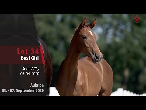 Online-Auktion v. 03. - 07.09.2020 Lot 34 Best Girl Stute v. Baron - Floriscount