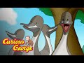 George And The Ducks Curious George Kids Cartoon Kids Movies Videos For Kids