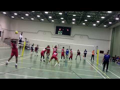 Amir Ammar's highlights