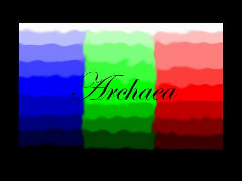 Archaea (C Minor)
