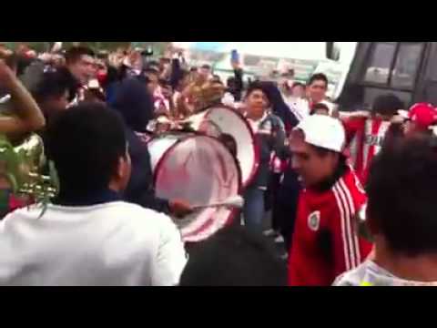 "Por Chivas es morir o matar" Barra: Legión 1908 &bull; Club: Chivas Guadalajara