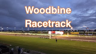 Toronto's Hidden Gem: FREE Admission to World-Class Horse Racing | Woodbine Racetrack
