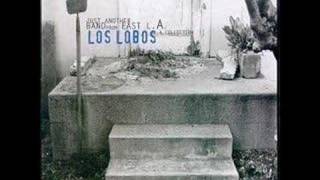 Los Lobos - Volver, Volver [Live]