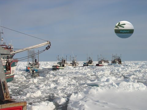 Rowed Up In A Dory (Traditional Jig)