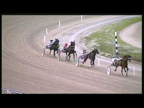 Trotto 30/10/2020 - 2ª prova di qualifica