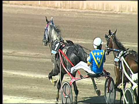 Trotto 06/05/2016 - 4° Corsa