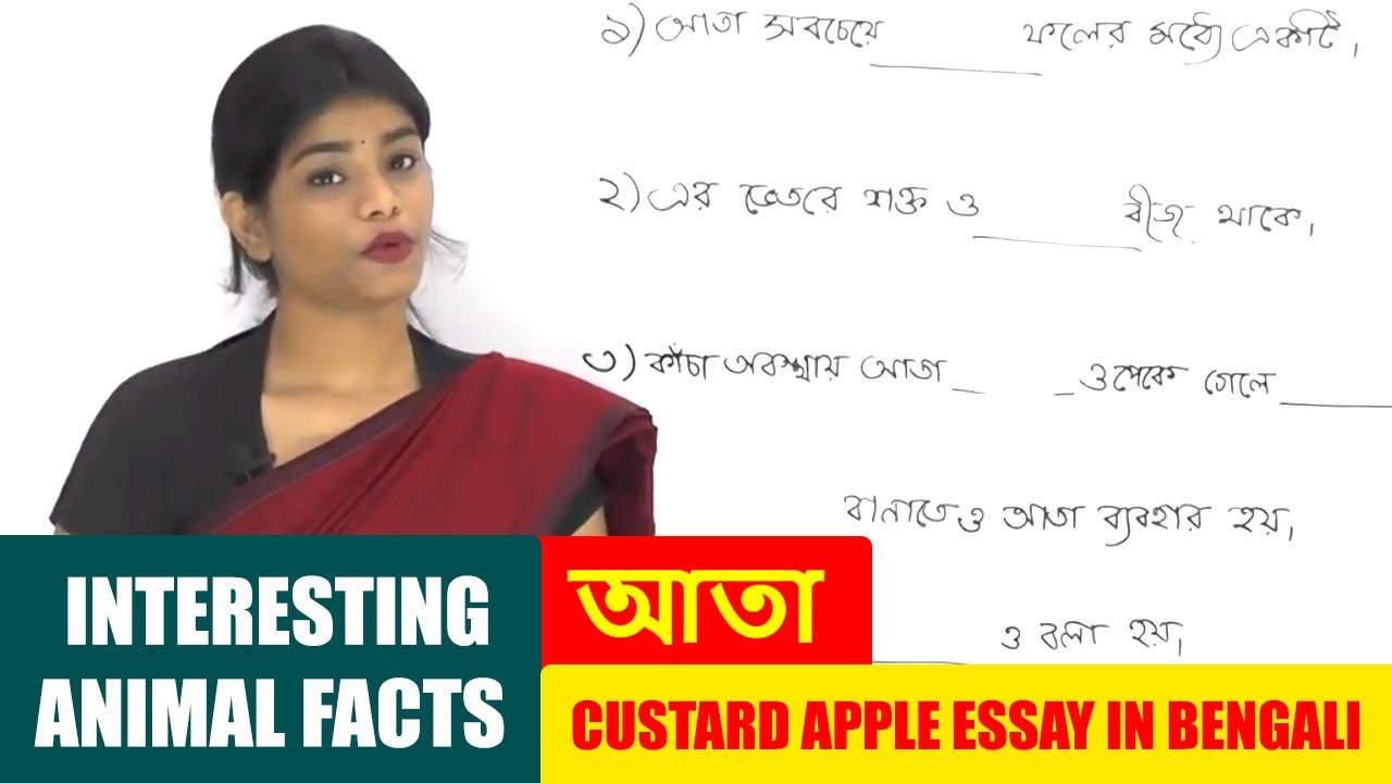 Interesting Fruits Facts:Custard Apple আতা |Custard Apple Essay in Bengali|Custard Apple Song, Story