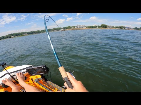 Fluke, Porgies and More in the Western LI Sound | Shallow Structure Fishing on the Kayak!