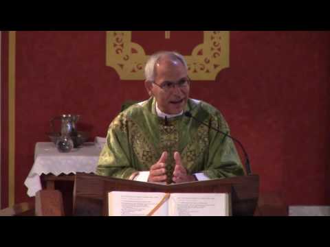 Fifteenth Sunday in Ordinary Time (Year C) - Fr. Hahn