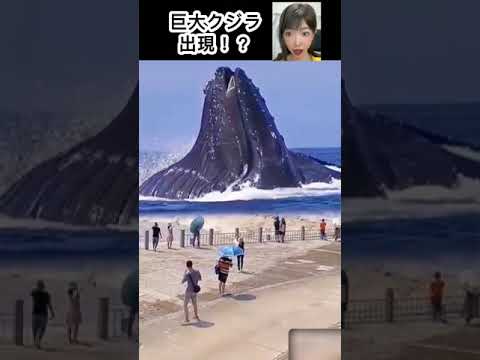 シロナガスクジラはどのようにして巨人になったのでしょうか?