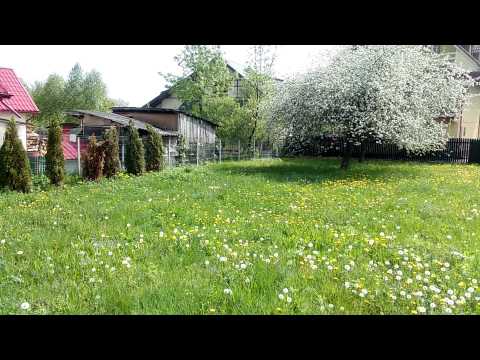 Teren Cornu, Prahova - suprafata 800 mp