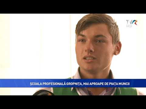 ŞCOALA PROFESIONALĂ GROPNIŢA MAI APROAPE DE PIAŢA MUNCII