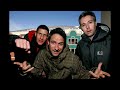 Beastie Boys Check Your Head