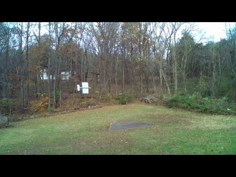 P111515A     INSANITY T MANIA