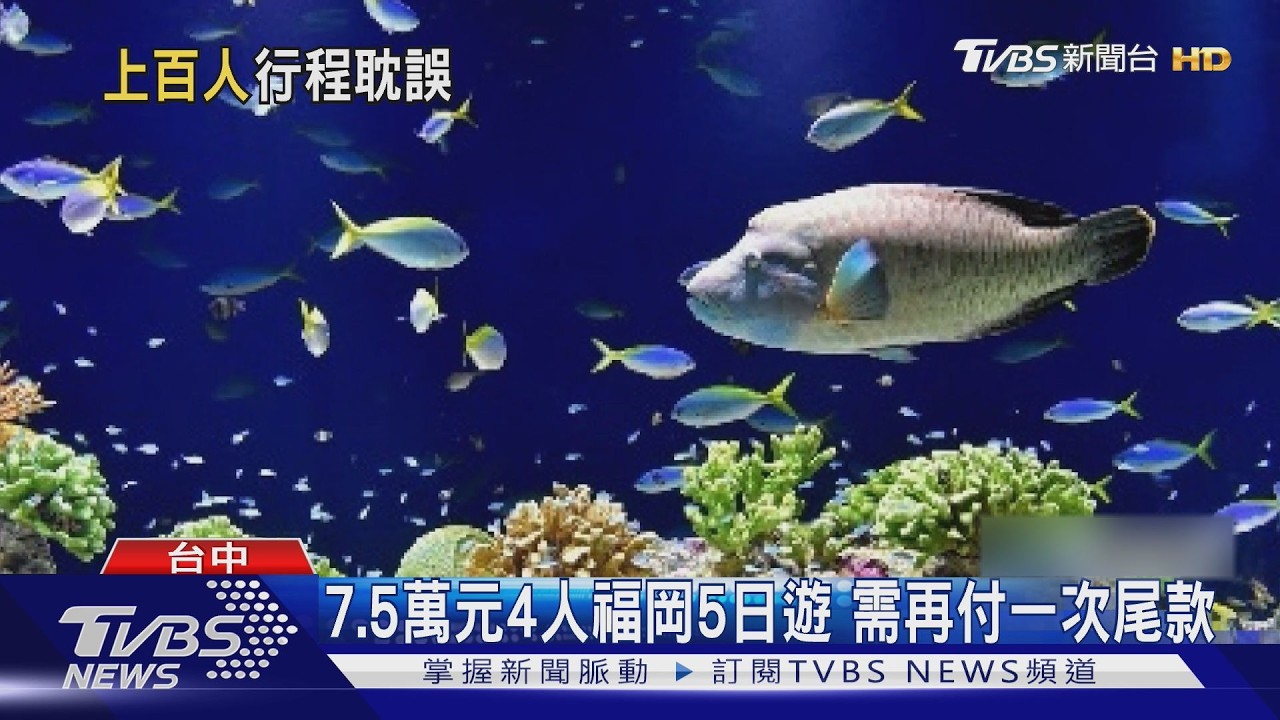 台中威順旅行社無預警歇業！付7.5萬出不了國　恐上百人受害
