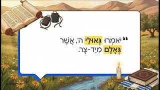 הרב מאיר שפריר  כעץ שתול