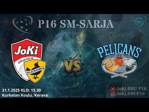 P16 SM-SARJA JoKi/Blackbirds - Pelicans/Sudet 31.1.2025