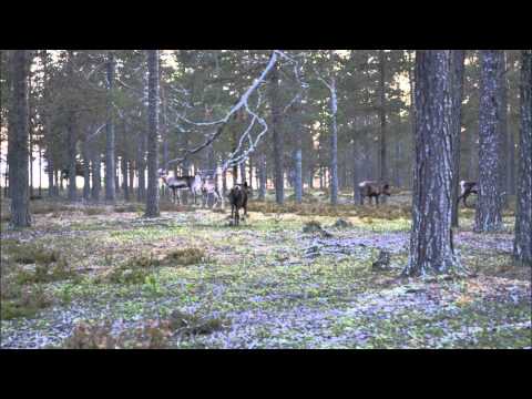 draugiem(.)lv 09.09.2011.