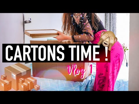 ON DÉMÉNAGE : premiers cartons ! 📦