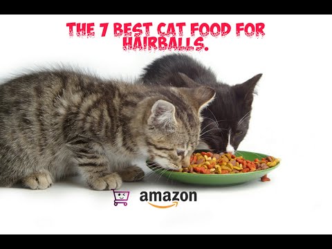 The 7 Best Cat Food for Hairballs (December) in 2019