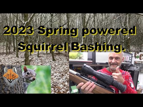 Squirrel shooting "Old School" with Springers.