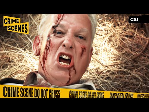 Nick Catches Warrick's Killer | CSI (Paul Guilfoyle, George Eads, Conor O'Farrell)