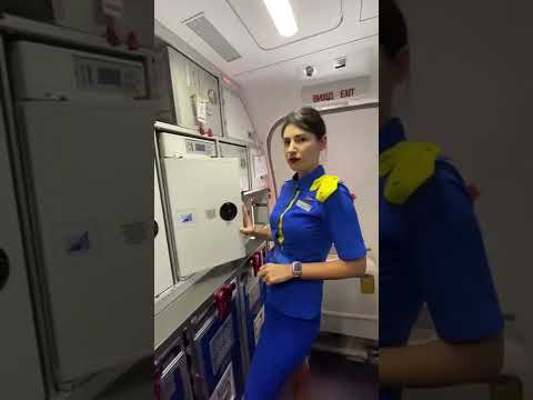 Galley from inside #flyuia #shorts #ukraine