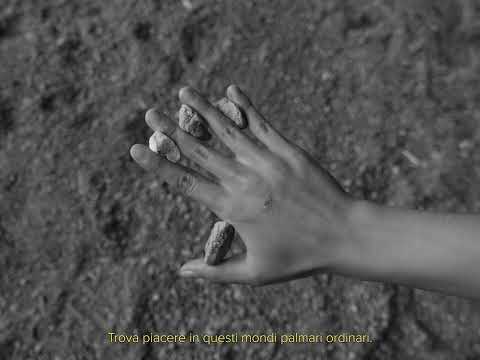 Collect Rocks by Daria Palahniuk