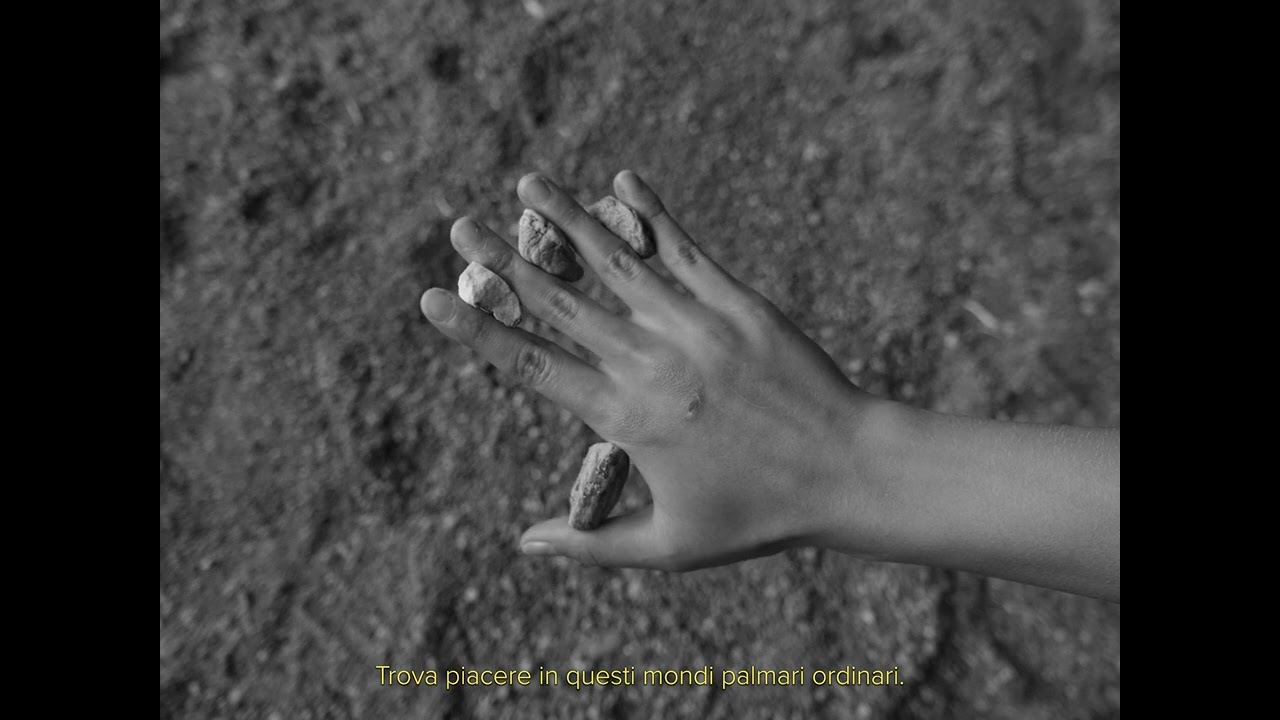 Collect Rocks by Daria Palahniuk