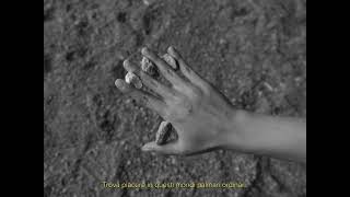 Collect Rocks by Daria Palahniuk