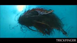 John Frusciante  - Uprane