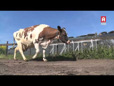 Nationale open boerderijdag 2016 in Aarlanderveen