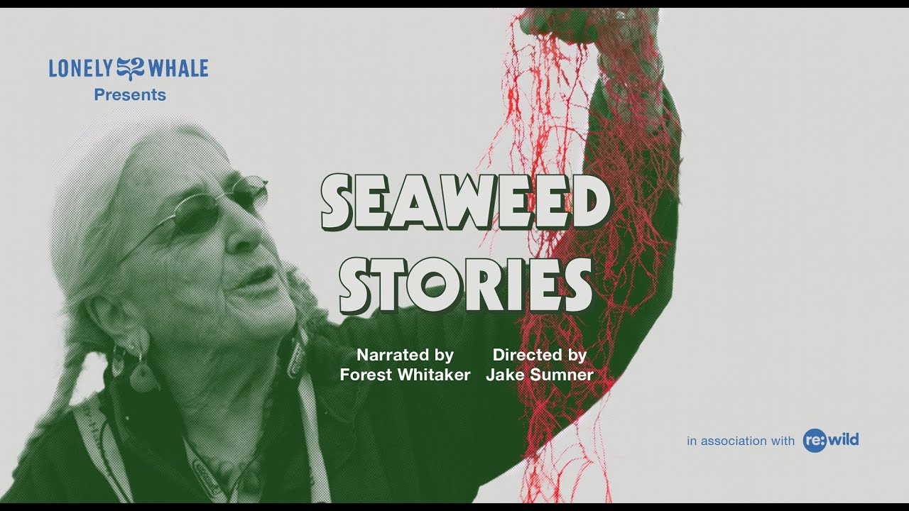 Seaweed Stories