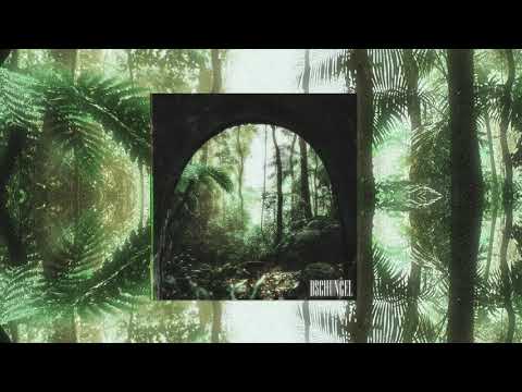 jaiv - Dschungel (prod. by 7ventus x Knock) | Official Audio