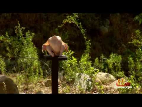 Lock n Load. Shotgun ammo comparison