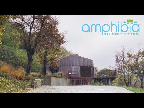 Видеообзор