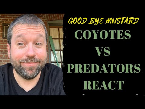 Coyotes vs Predators Game 4 React