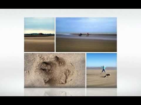 download lagu mp3 mp4 Camber Sands Beach Dogs, download lagu Camber Sands Beach Dogs gratis, unduh video klip Camber Sands Beach Dogs