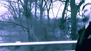 Steve Earle- Feel Alright