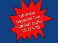 genesis- pigeons live