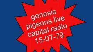 genesis- pigeons live