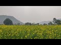 Short Status Kya Mausam Aaya Hai Anari 1993