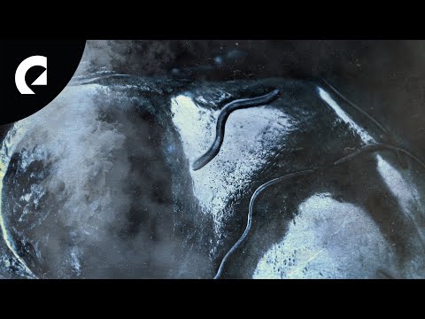 Magnus Ludvigsson - Too Much Talking