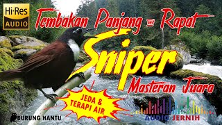 Download lagu Tembakan Speed Rapat Burung Sniper Gacor mp3