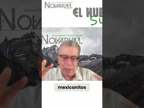 Miniatura de 🧠 ¿La curiosidad se apaga? Niñez y aprendizaje en peligro