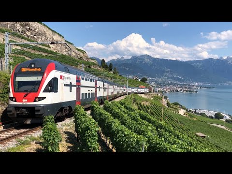 [FR/DE]Trafic ferroviaire/Bahnverkehr Train des vignes/Rebenzug+Moreillon-Transports Publics Suisses
