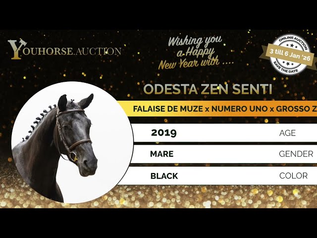 Odesta Zen Senti trainingsvideo