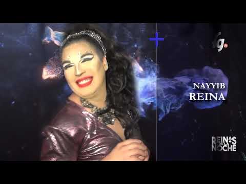 REINAS DE LA NOCHE T05/SEMANA 20 - CANAL FARANDULA GAY